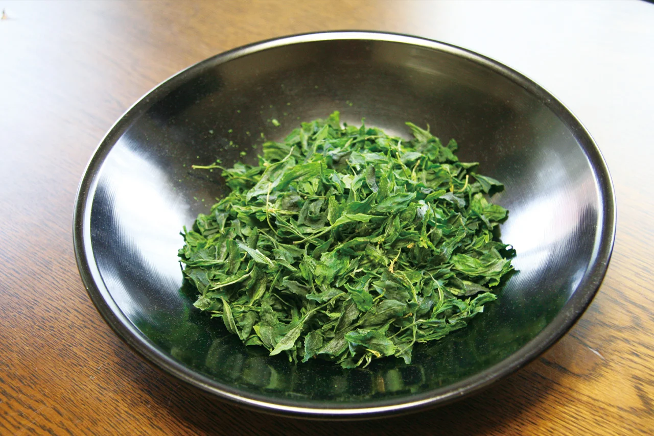 イベント会場での城陽産抹茶の広報活動