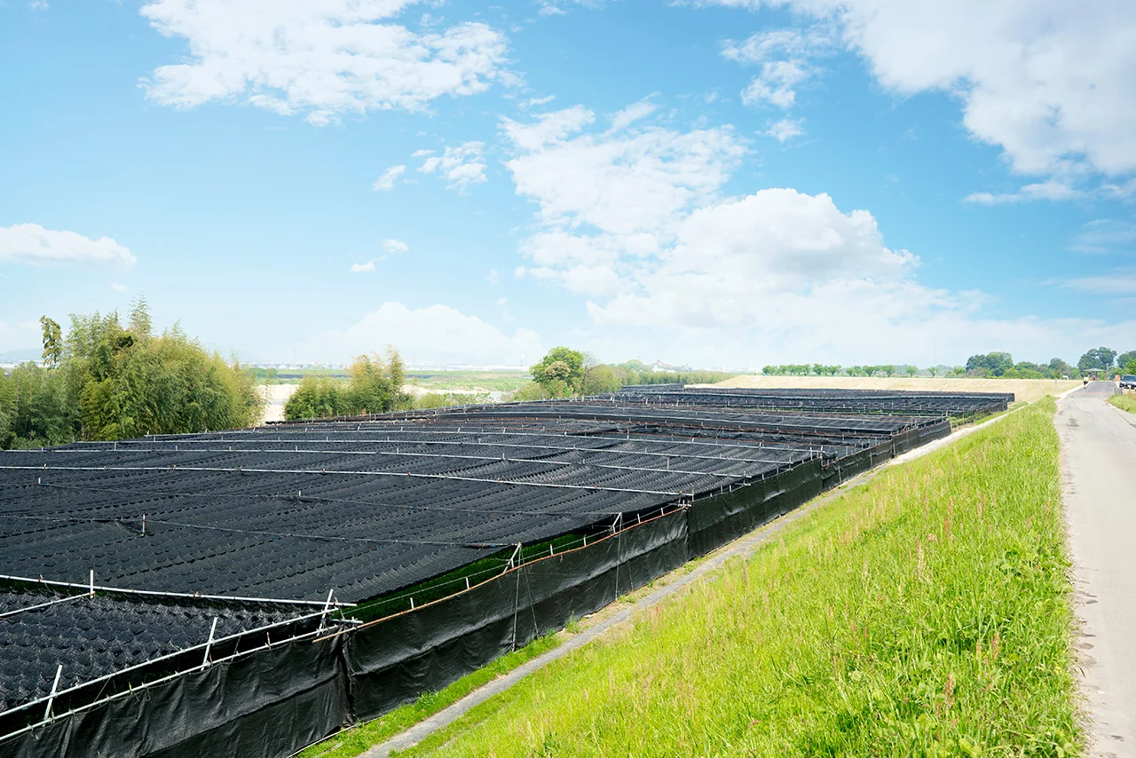 もっともっと、魅力ある城陽市